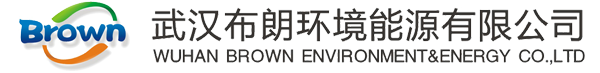 汽車尾氣治理_尾氣治理M站設備_氫氧除碳機廠家_武漢布朗環(huán)境能源有限公司